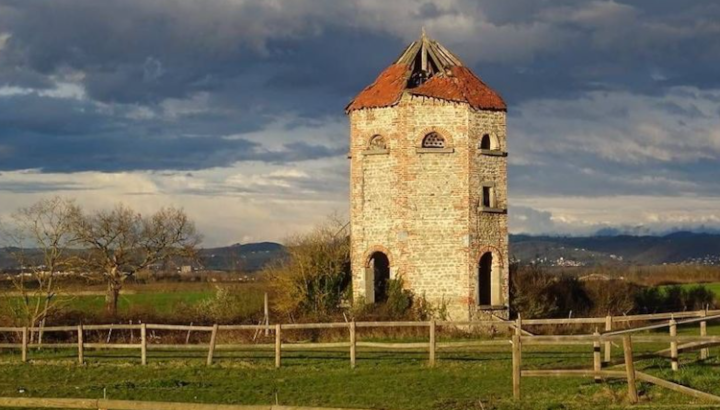 Un projet de 3 ans pour préserver la faune du bâti rural